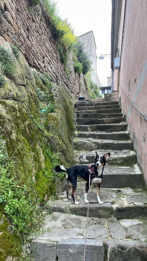 Karlin'S House Anzi - Albergo Diffuso ภายนอก รูปภาพ